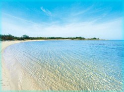 Spiaggia di Torre Guaceto