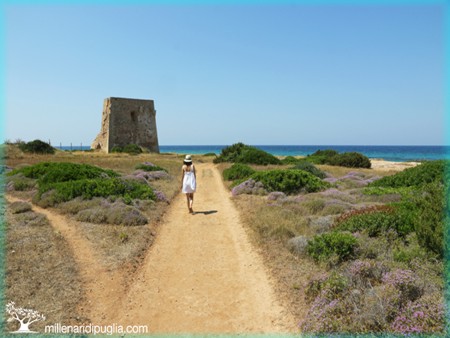 torre_pozzella_passeggiata.jpg