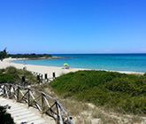 Le Spiagge più Belle di Ostuni